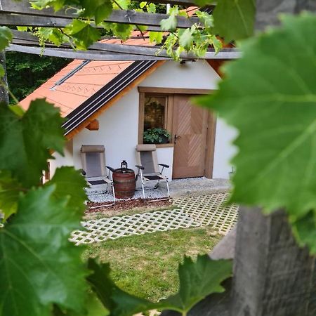 Zidanica Zagar Villa Доленсле Топлице Екстериор снимка