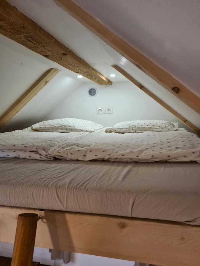 Zidanica Zagar Villa Доленсле Топлице Екстериор снимка