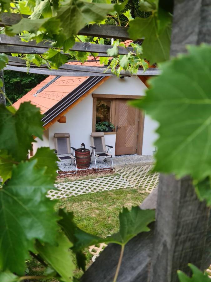 Zidanica Zagar Villa Доленсле Топлице Екстериор снимка